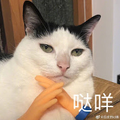 亚历山大何何清欢