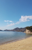 なつシロ