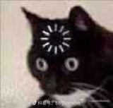 伊嗚