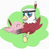snowXciel