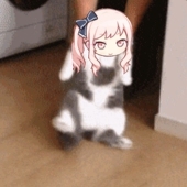 嘲風