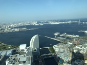 つゆだく
