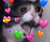 dee