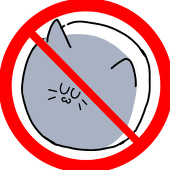 阿鱼不是猫