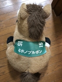 ハナイカダ