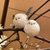高柳つむじ