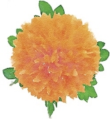 77o