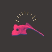 たいのたい