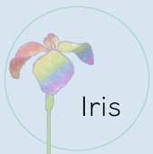 Iris@KRMY Lab.