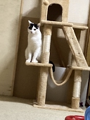かいせんどん