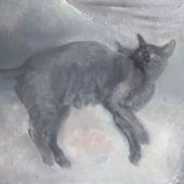 Vitamin cat