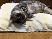 まっつんつん