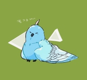 蒼鳩-aobato-
