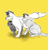 やと