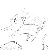猫丸