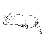 筋