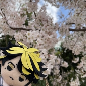 さの卍