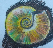 Crayoniceras