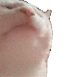 Tono丶