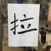 大才