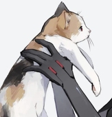彗星君
