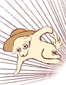 葵