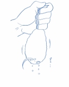 ぷらてん