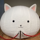よ し よ し