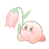 こむぎ