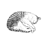 たろ