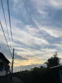 saina