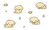 복근쇼타