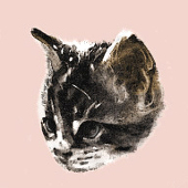 ねこやま