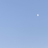 月見。