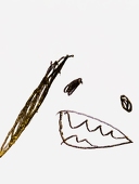 えん
