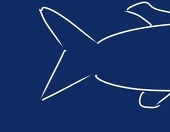shinkai