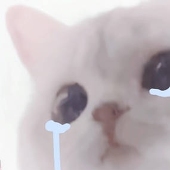 桔糗。