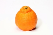 reb_orange
