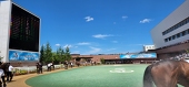 春木小春