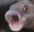 kh4c