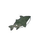 さばしっく