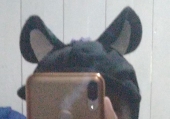 RPotaro