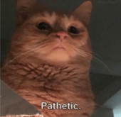 SirPurrr