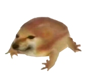 frog