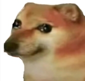 山贼