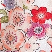 すあし