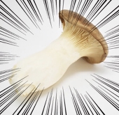 タマモ推しのエリンギ
