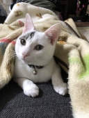 たぶんひと