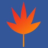 紅葉楓