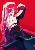 すぎ丸